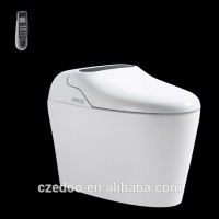 Hot sale automatic toilet china wholesale intelligent toilet and smart toilet