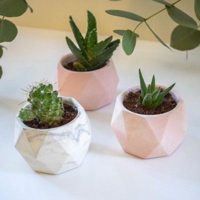 geometric flower pot concrete cement handmade planter